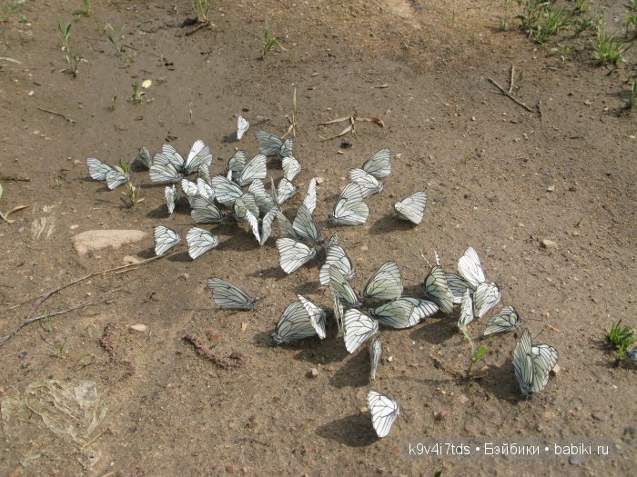 Я так хочу, чтобы лето не кончалось