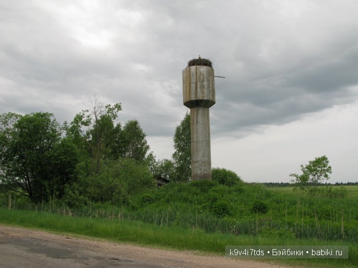 Я так хочу, чтобы лето не кончалось (фото 4)