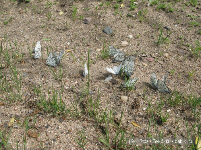 Я так хочу, чтобы лето не кончалось