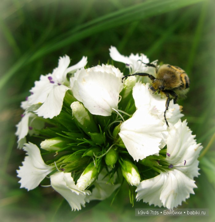 Я так хочу, чтобы лето не кончалось