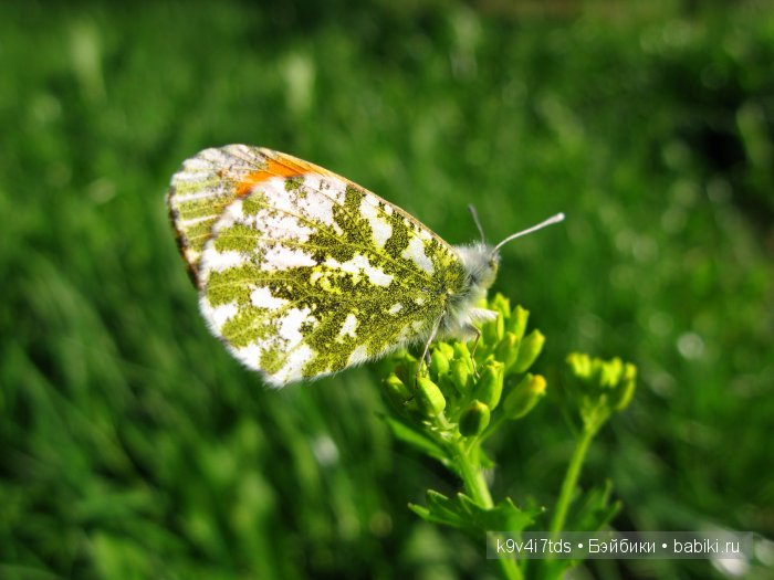Я так хочу, чтобы лето не кончалось