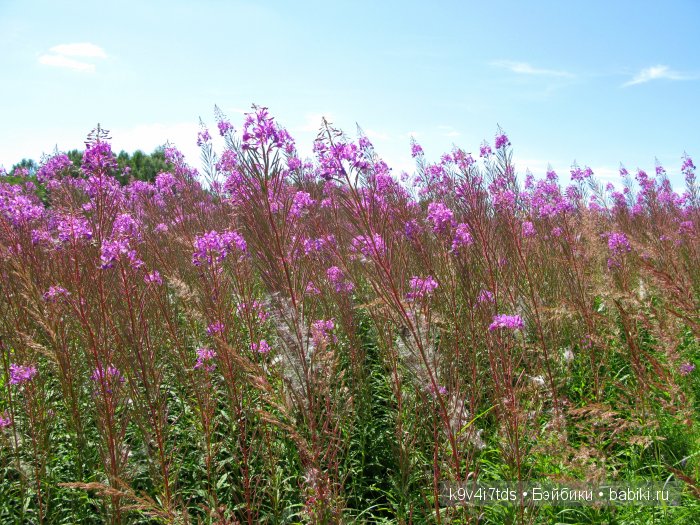 Я так хочу, чтобы лето не кончалось