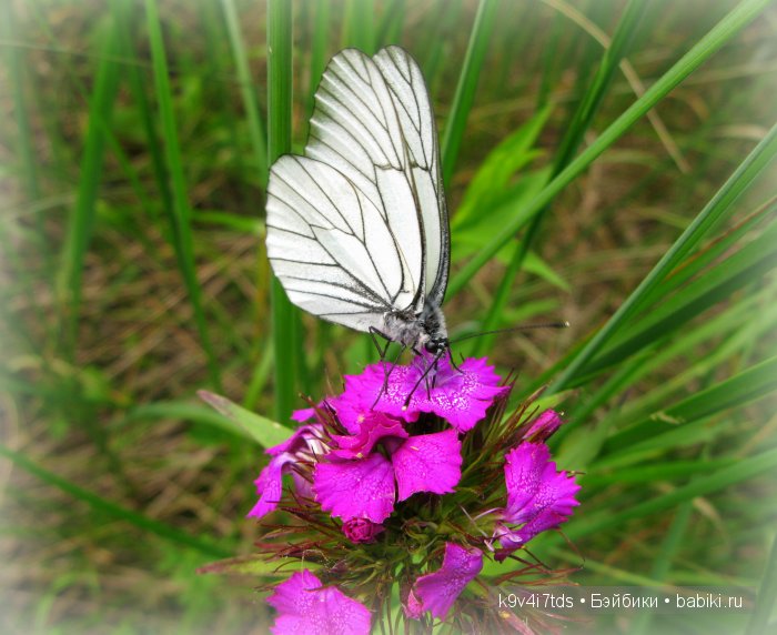 Я так хочу, чтобы лето не кончалось