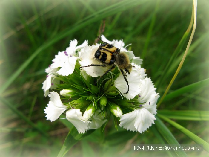 Я так хочу, чтобы лето не кончалось