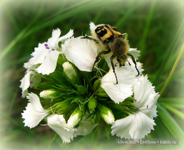 Я так хочу, чтобы лето не кончалось