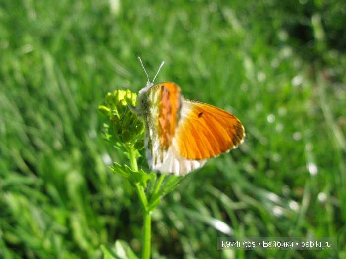 Я так хочу, чтобы лето не кончалось