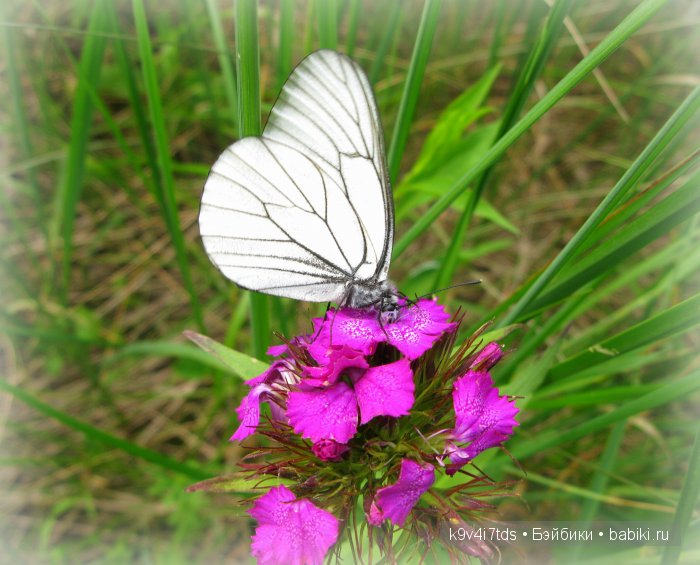 Я так хочу, чтобы лето не кончалось