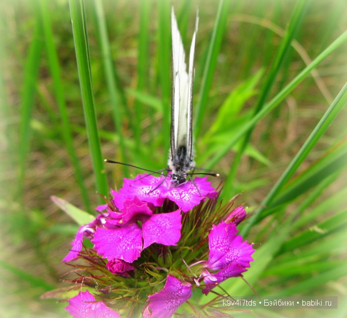 Я так хочу, чтобы лето не кончалось