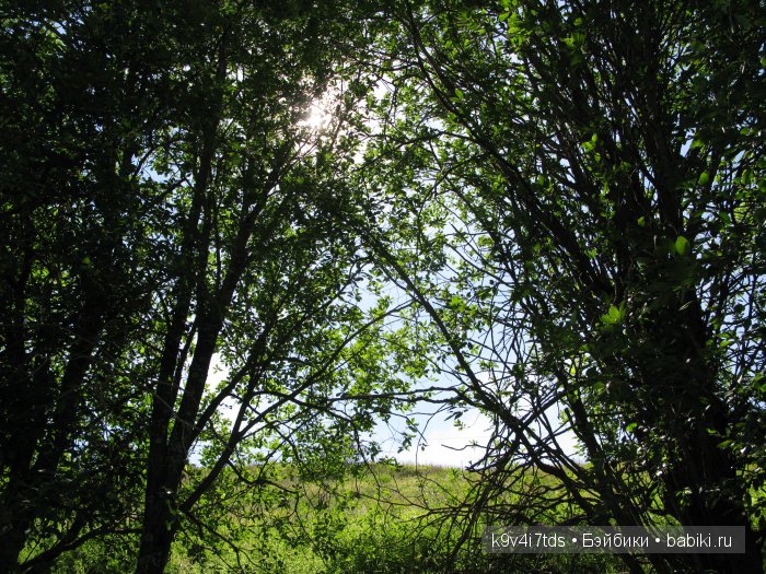 Я так хочу, чтобы лето не кончалось