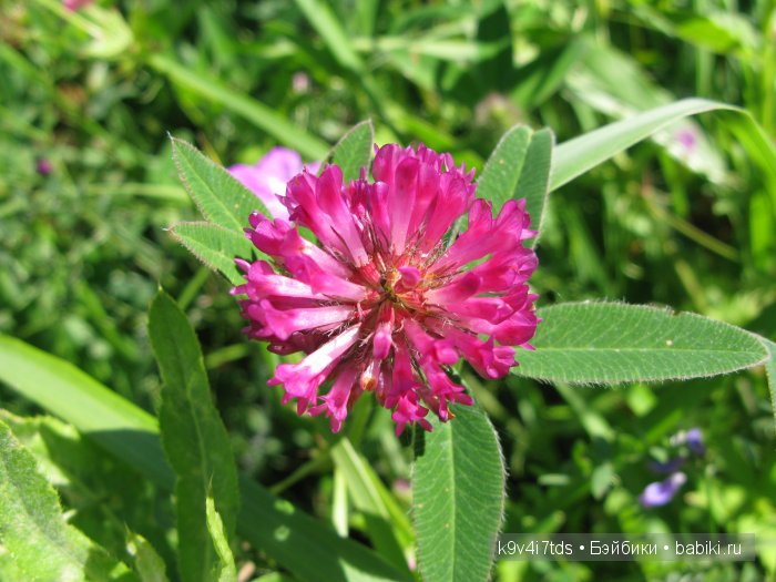 Я так хочу, чтобы лето не кончалось