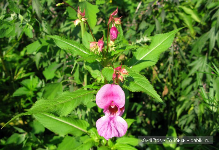 Я так хочу, чтобы лето не кончалось