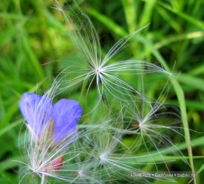 Я так хочу, чтобы лето не кончалось