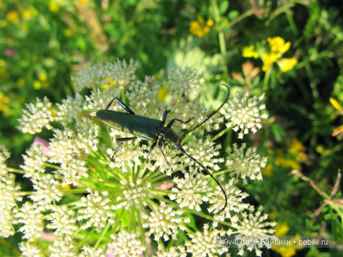 Я так хочу, чтобы лето не кончалось