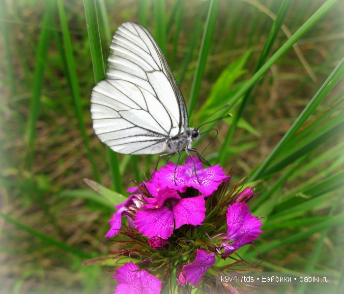 Я так хочу, чтобы лето не кончалось