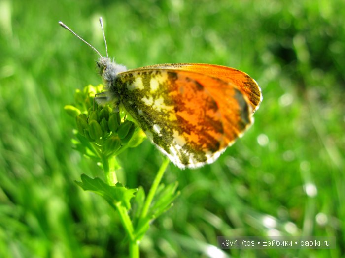 Я так хочу, чтобы лето не кончалось