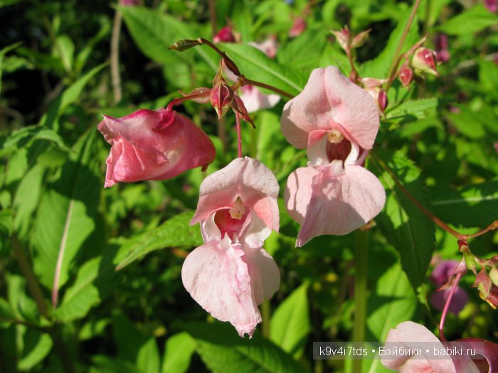 Я так хочу, чтобы лето не кончалось