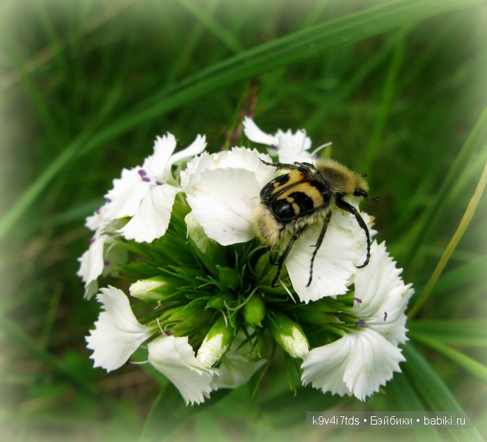 Я так хочу, чтобы лето не кончалось