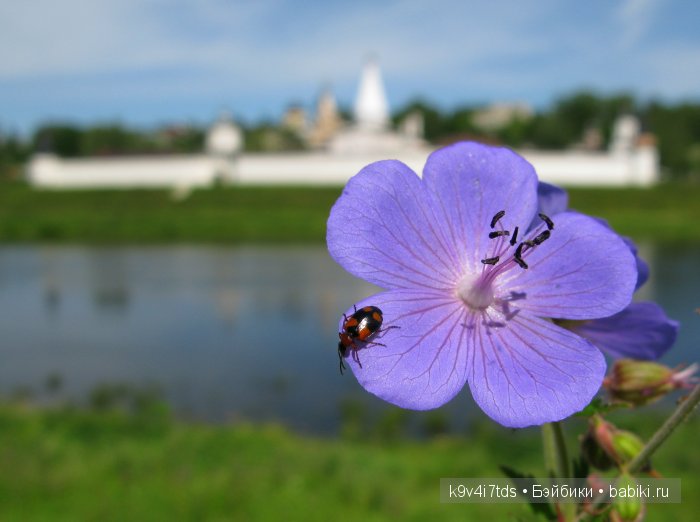 Я так хочу, чтобы лето не кончалось