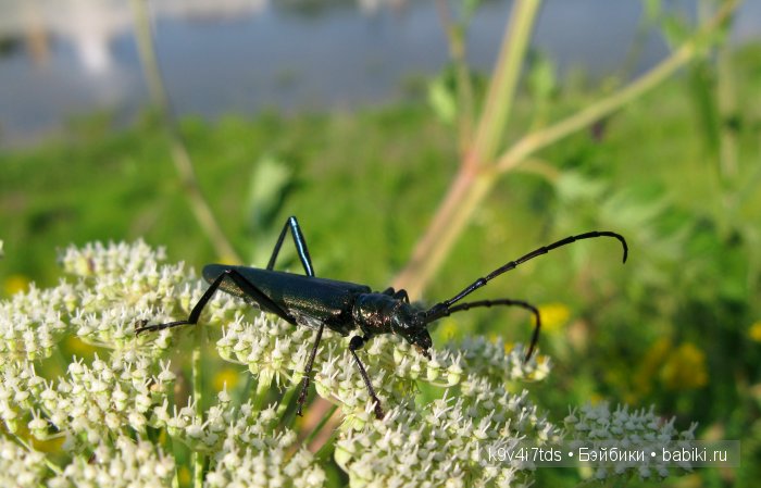 Я так хочу, чтобы лето не кончалось