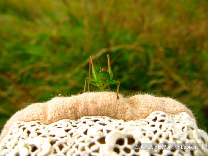 Козетта-Жаворонок. Антикварная кукла, ABG — Alt, Beck & Gottschalck молд 1362 SWEET NELL | Бэйбики Козетта-Жаворонок. Антикварная кукла, ABG — Alt, Beck & Gottschalck молд 1362 SWEET NELL