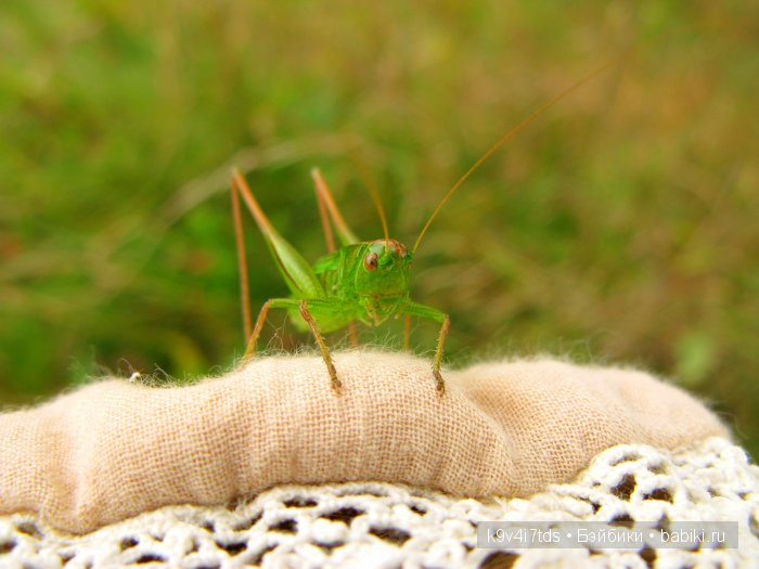 Козетта-Жаворонок. Антикварная кукла, ABG — Alt, Beck & Gottschalck молд 1362 SWEET NELL | Бэйбики Козетта-Жаворонок. Антикварная кукла, ABG — Alt, Beck & Gottschalck молд 1362 SWEET NELL