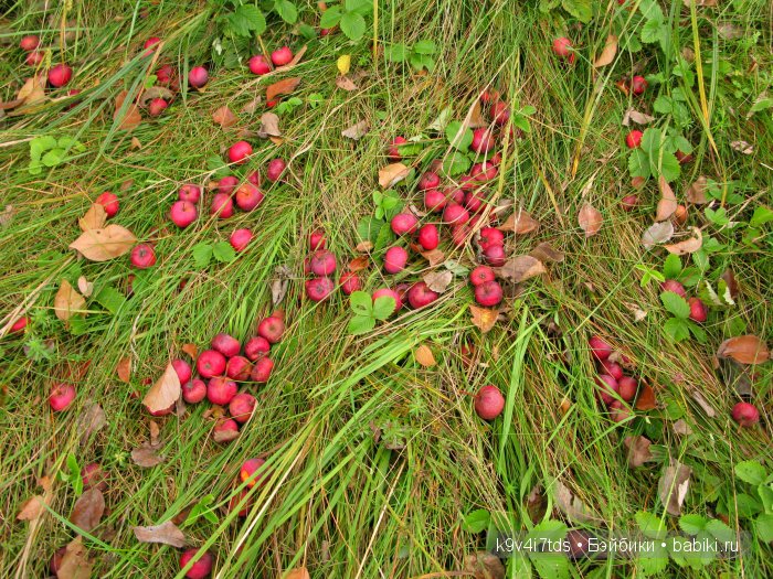 Козетта-Жаворонок. Антикварная кукла, ABG — Alt, Beck & Gottschalck молд 1362 SWEET NELL | Бэйбики Козетта-Жаворонок. Антикварная кукла, ABG — Alt, Beck & Gottschalck молд 1362 SWEET NELL