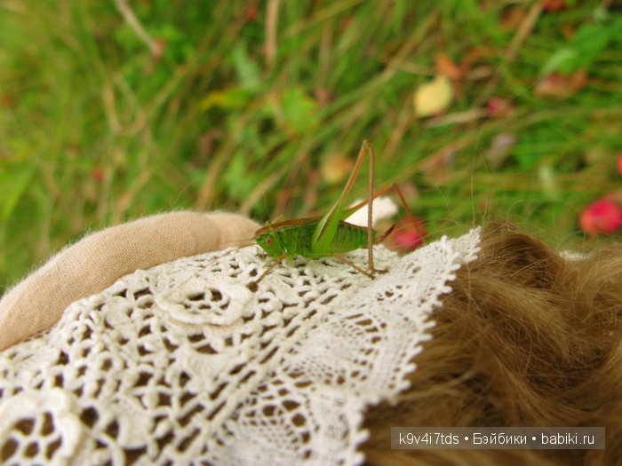 Козетта-Жаворонок. Антикварная кукла, ABG — Alt, Beck & Gottschalck молд 1362 SWEET NELL | Бэйбики Козетта-Жаворонок. Антикварная кукла, ABG — Alt, Beck & Gottschalck молд 1362 SWEET NELL