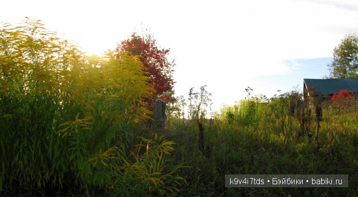 Осеннее путешествие Алисы и Бонни. Куклы BJD, Dollmore, Fairyland