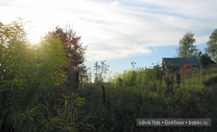 Осеннее путешествие Алисы и Бонни. Куклы BJD, Dollmore, Fairyland