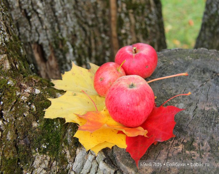 Осень в Чукавино. Toffee dolls