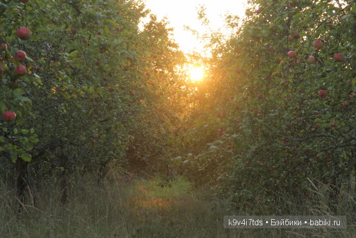 Осень в Чукавино. Toffee dolls