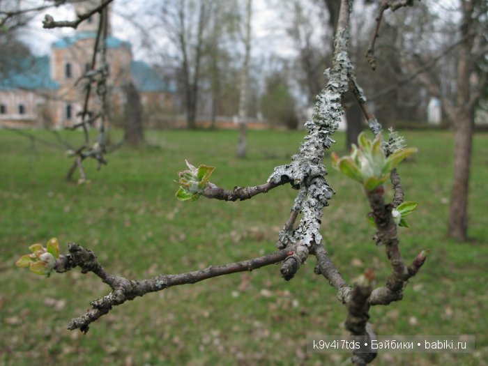 Осень в Чукавино. Toffee dolls (фото 2)