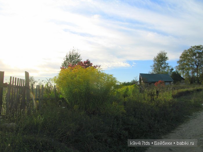 Осеннее путешествие Алисы и Бонни. Куклы BJD, Dollmore, Fairyland