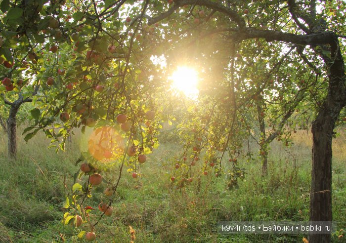 Осень в Чукавино. Toffee dolls