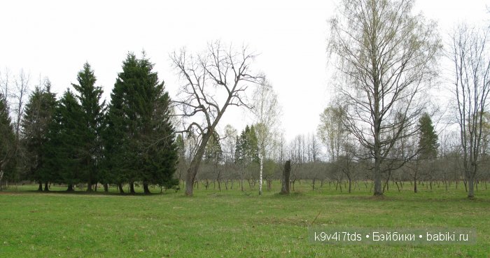 Осень в Чукавино. Toffee dolls (фото 4)