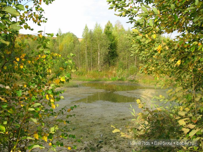 Осеннее путешествие Алисы и Бонни. Куклы BJD, Dollmore, Fairyland