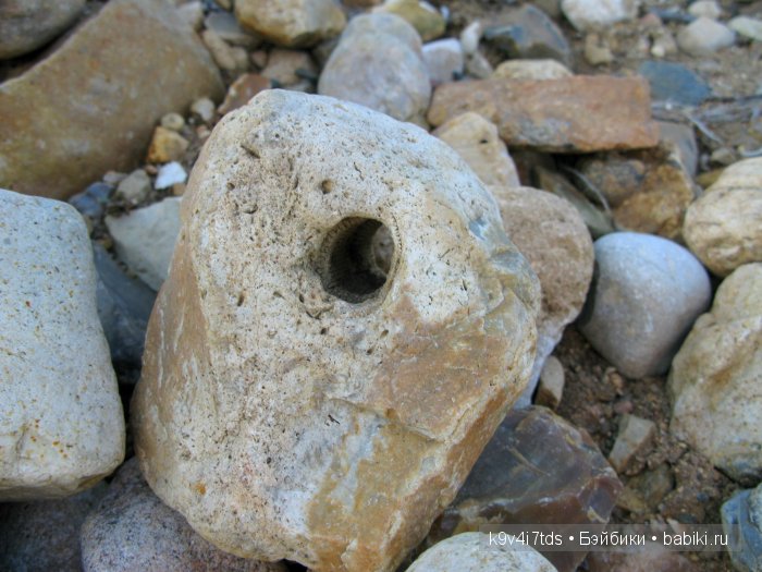 Осеннее путешествие Алисы и Бонни. Куклы BJD, Dollmore, Fairyland