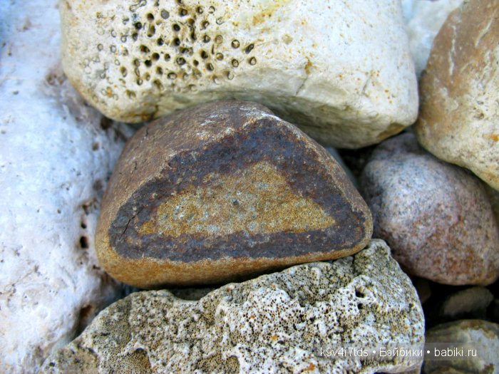 Осеннее путешествие Алисы и Бонни. Куклы BJD, Dollmore, Fairyland