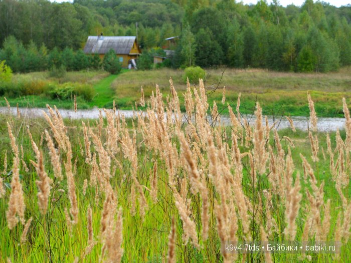 Осеннее путешествие Алисы и Бонни. Куклы BJD, Dollmore, Fairyland