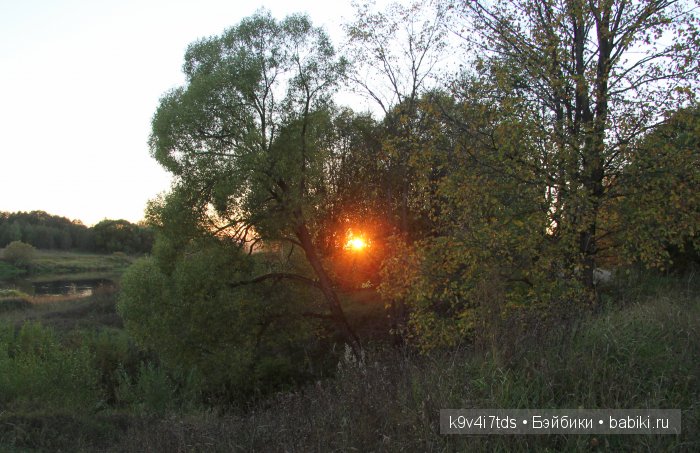 Осеннее путешествие Алисы и Бонни. Куклы BJD, Dollmore, Fairyland