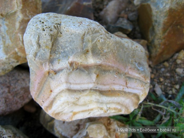 Осеннее путешествие Алисы и Бонни. Куклы BJD, Dollmore, Fairyland