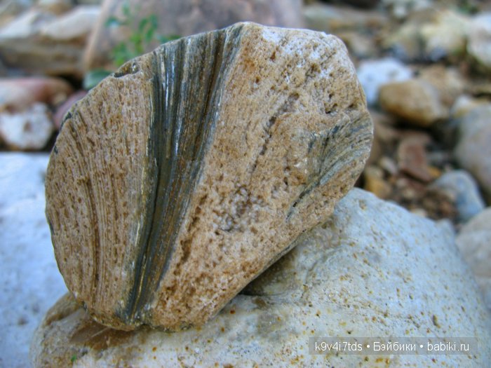 Осеннее путешествие Алисы и Бонни. Куклы BJD, Dollmore, Fairyland