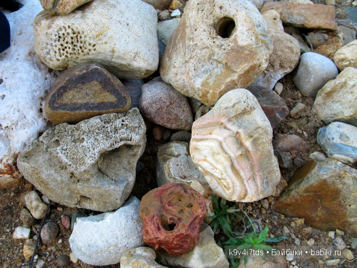 Осеннее путешествие Алисы и Бонни. Куклы BJD, Dollmore, Fairyland