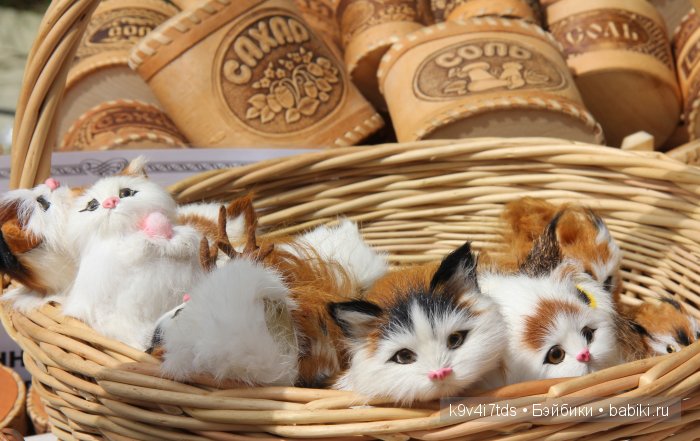 Пушкинский праздник в Берново. Музей А.С. Пушкина в селе Берново