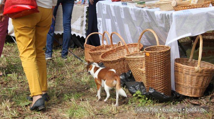 Пушкинский праздник в Берново. Музей А.С. Пушкина в селе Берново