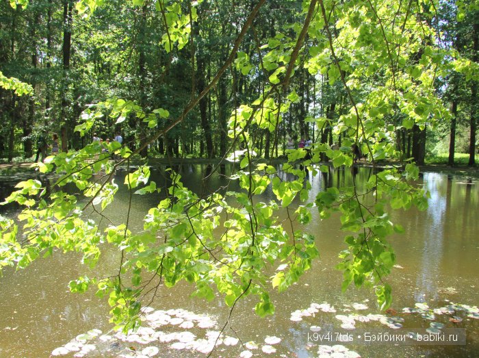 Пушкинский праздник в Берново. Музей А.С. Пушкина в селе Берново
