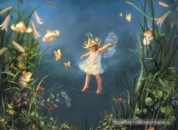 картинка из интернета