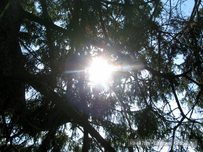 Симфония счастливой Весны! Eiyuu Senki Gold Beethoven Figure (фото 8)