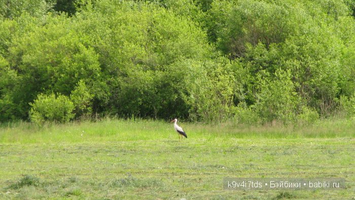 Симфония счастливой Весны! Eiyuu Senki Gold Beethoven Figure