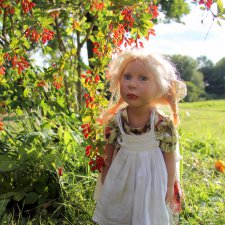 Августовская прогулка в Берново. Zwergnase Mischa